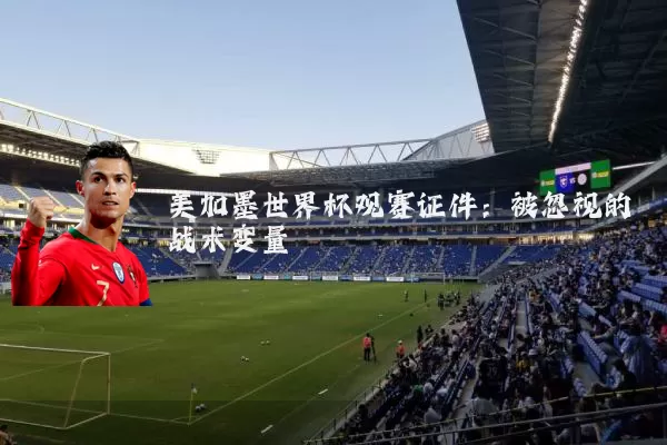 美加墨世界杯观赛证件：被忽视的战术变量